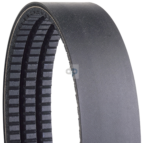 Gold Ribbon Cog Band