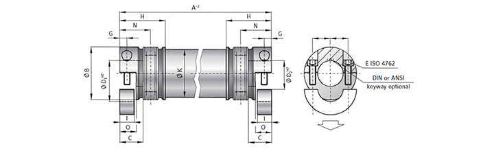 ZAE Diagram